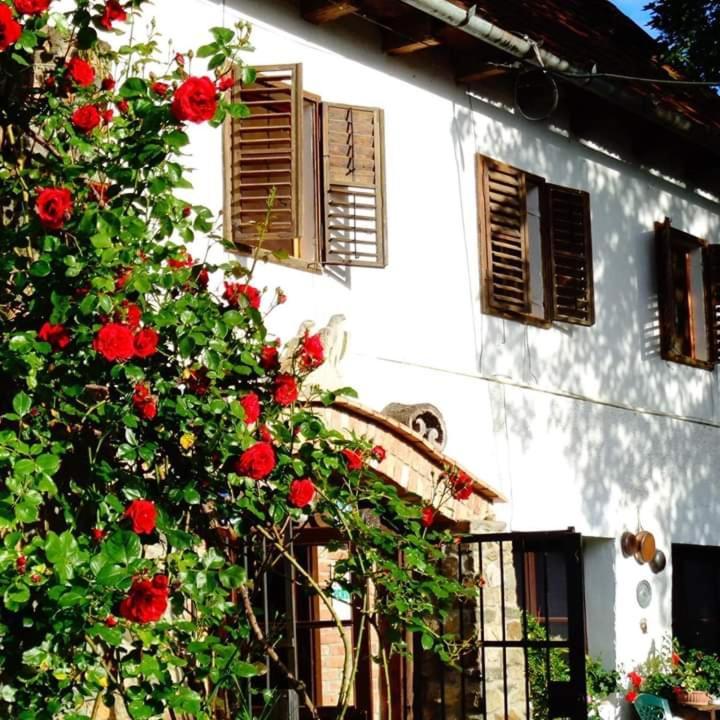 La Amadeus & Monica Otel Minis Dış mekan fotoğraf